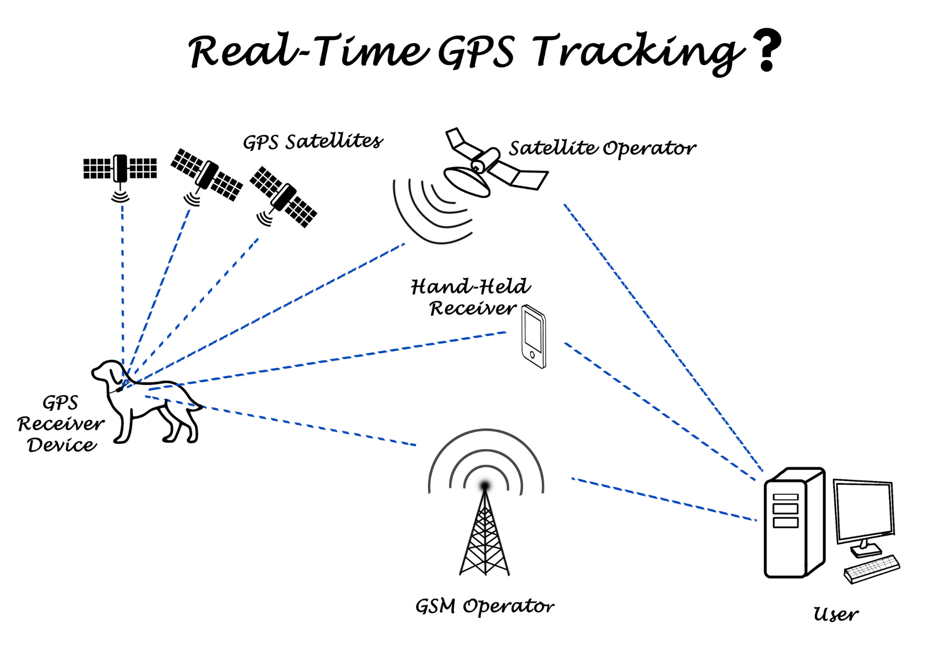 Graphic of how GPS collar tracking works