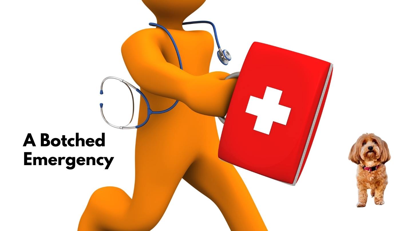 an orange male cartoon figure carrying first aid kit