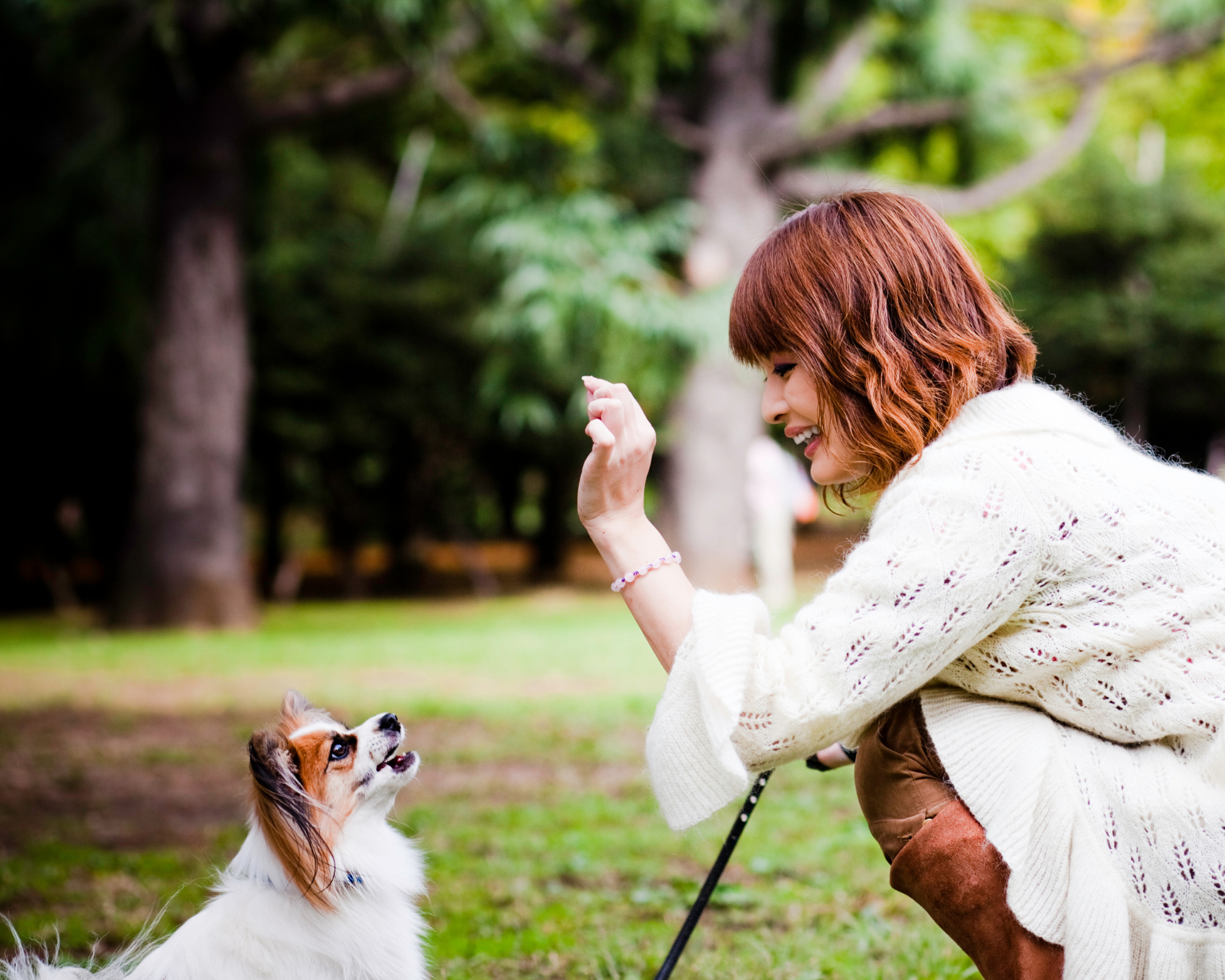 Red headed adult woman in cream sweater and skirt kneeling with treat to train Papillon dog on leash