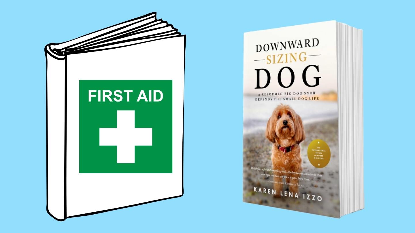 Picture of Downward Sizing Dog book and Mocked up First Aid Book