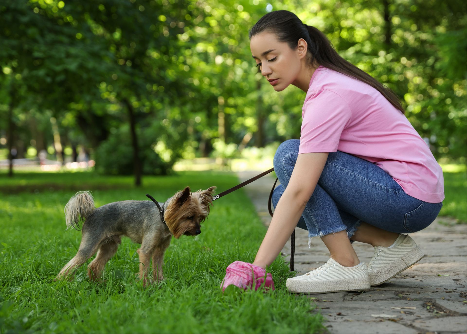 Woman at park with small terrier dog to illustrate dangers of opiate overdose