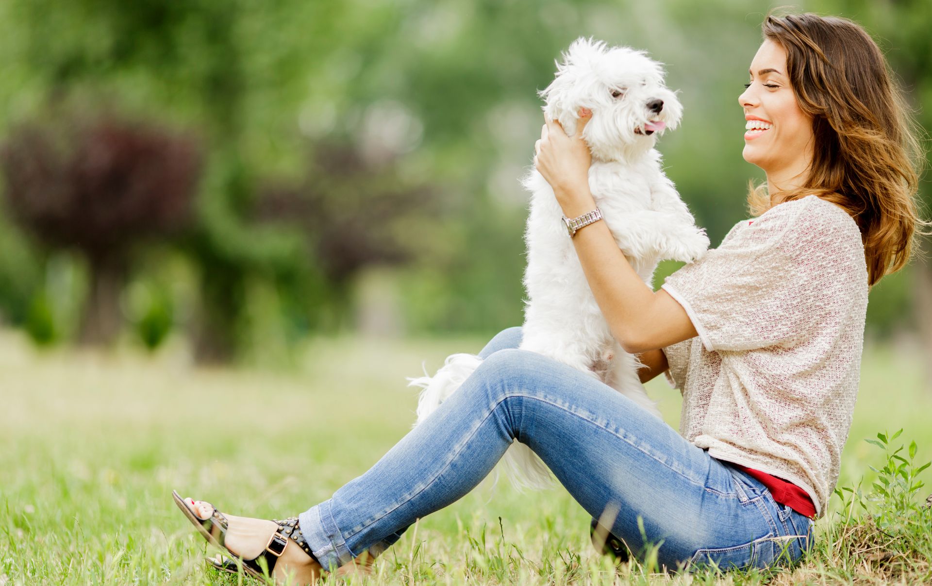 Smiling brunette woman in jeans and cream top sitting on grass holding standing white dog on her lap