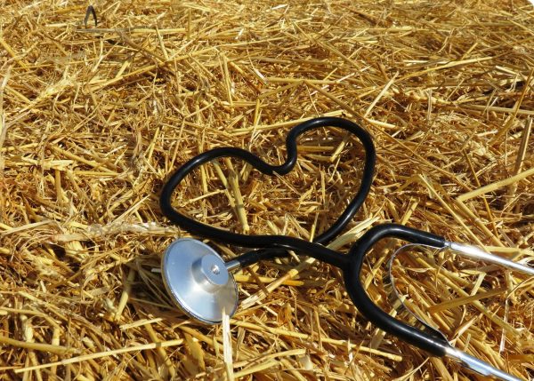 stethoscope in shape of a heart sitting on bale of hay