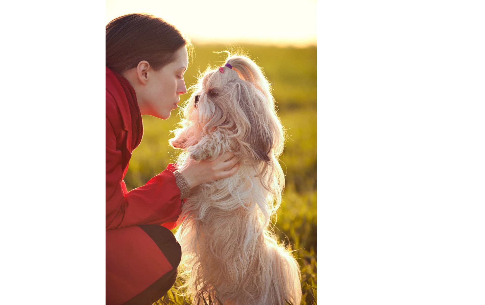 Woman in red coat leaning down having conversation with her Shih Tzu