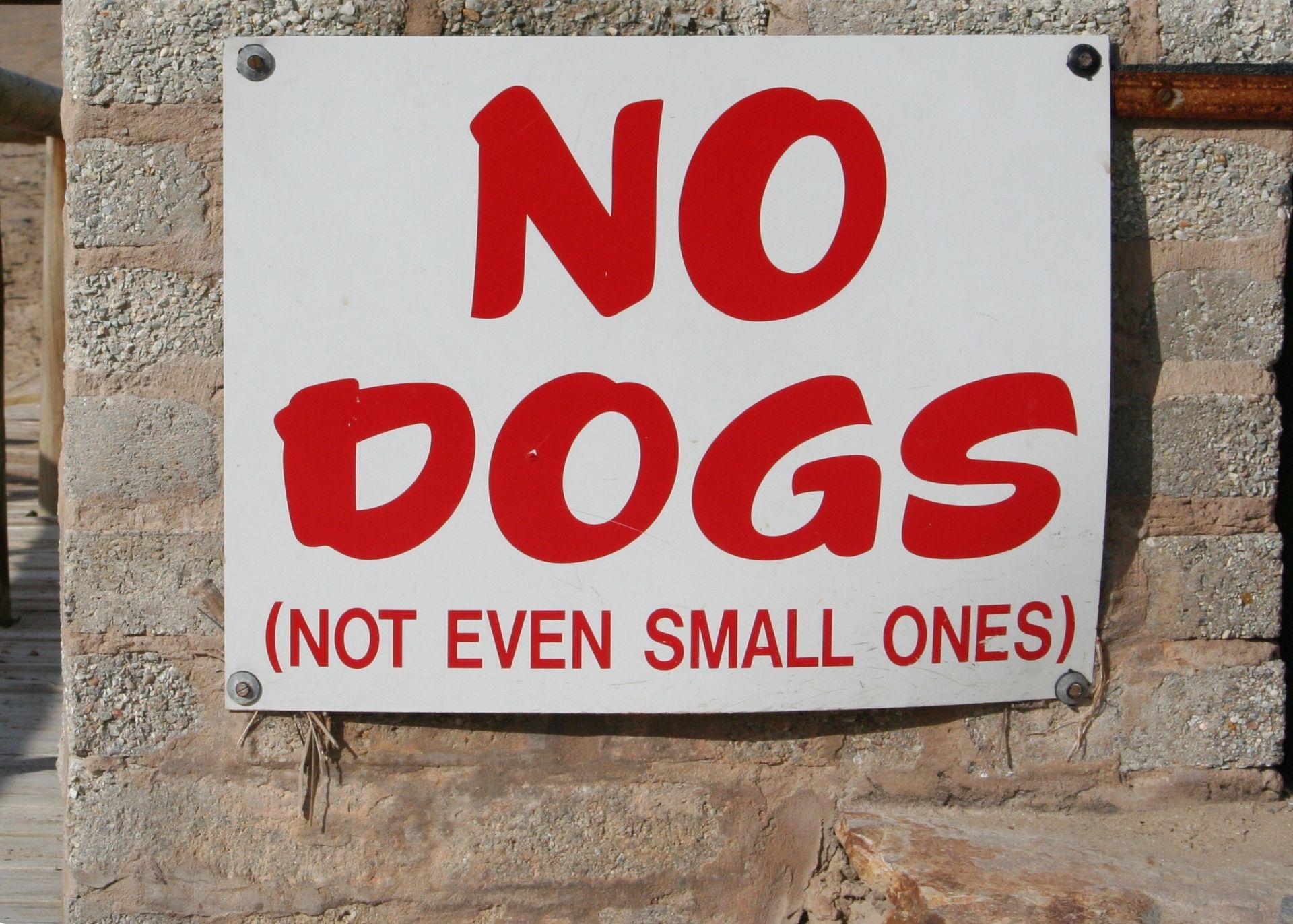 White sign with red letters reading "No Dogs, Not Even Small Ones"