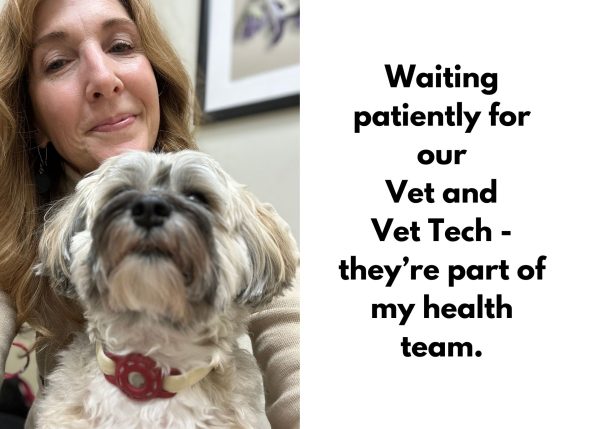 Smiling woman and her grey and cream Havanese next to text indicating we need to support our vet and vet techs