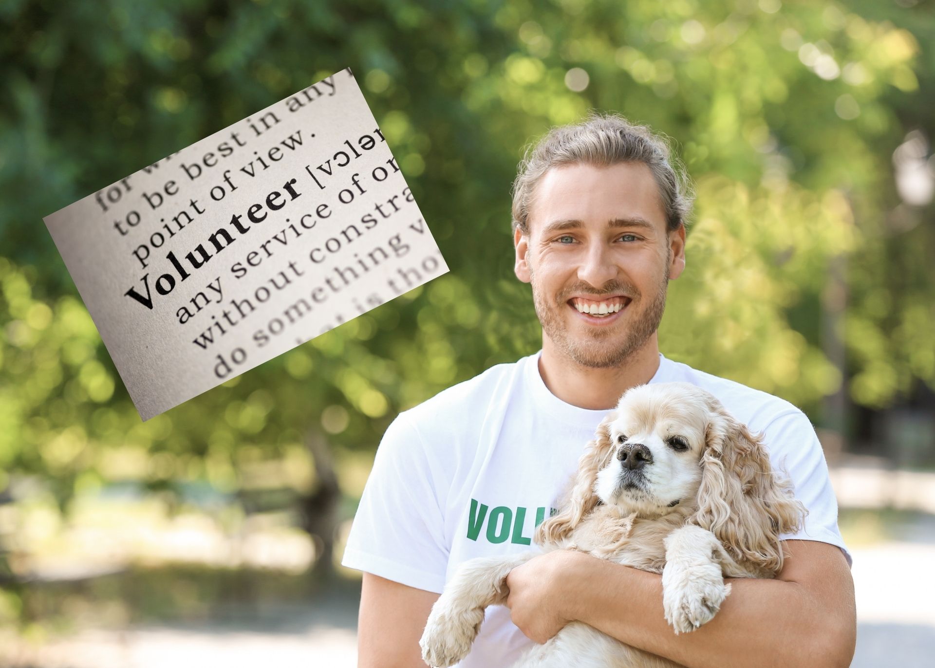 Smiling young man holding aging cocker spaniel with dictionary definition of "volunteerism" superimposed