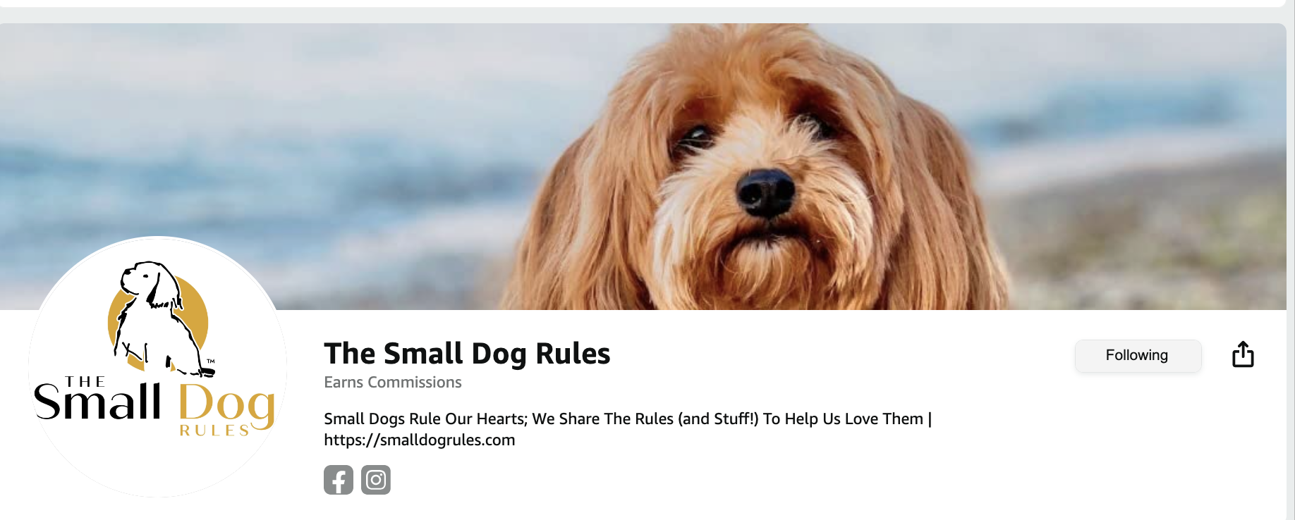 Amazon storefront for The Small Dog Rules with picture of red Havanese on beach and logo