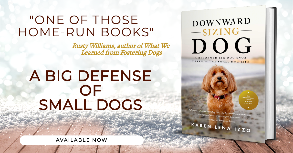 Mock up of Downward Sizing Dog book on snow with text reviews