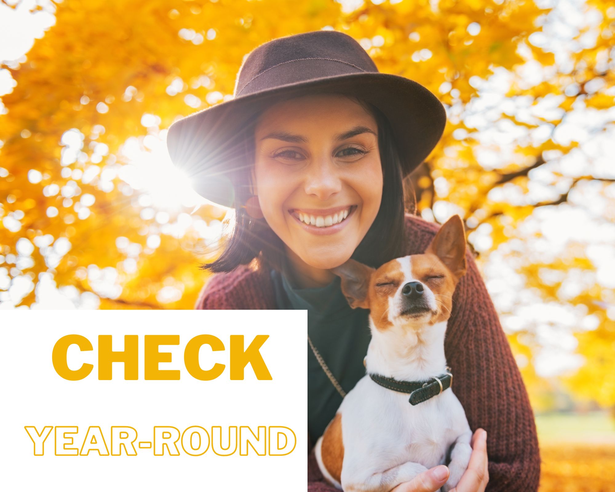 Leafy golden fall tree in background with smiling woman in hat with small dog in foreground. Words "Check Year-Round"