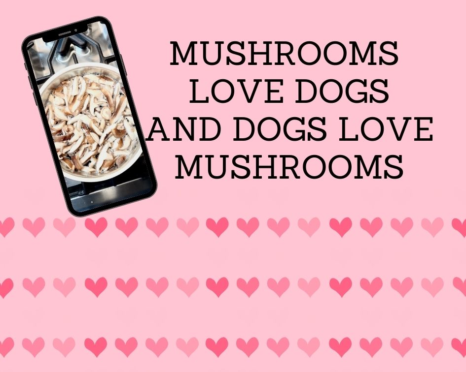 Decorative picture with title and phone mockup with mushroom broth simmering