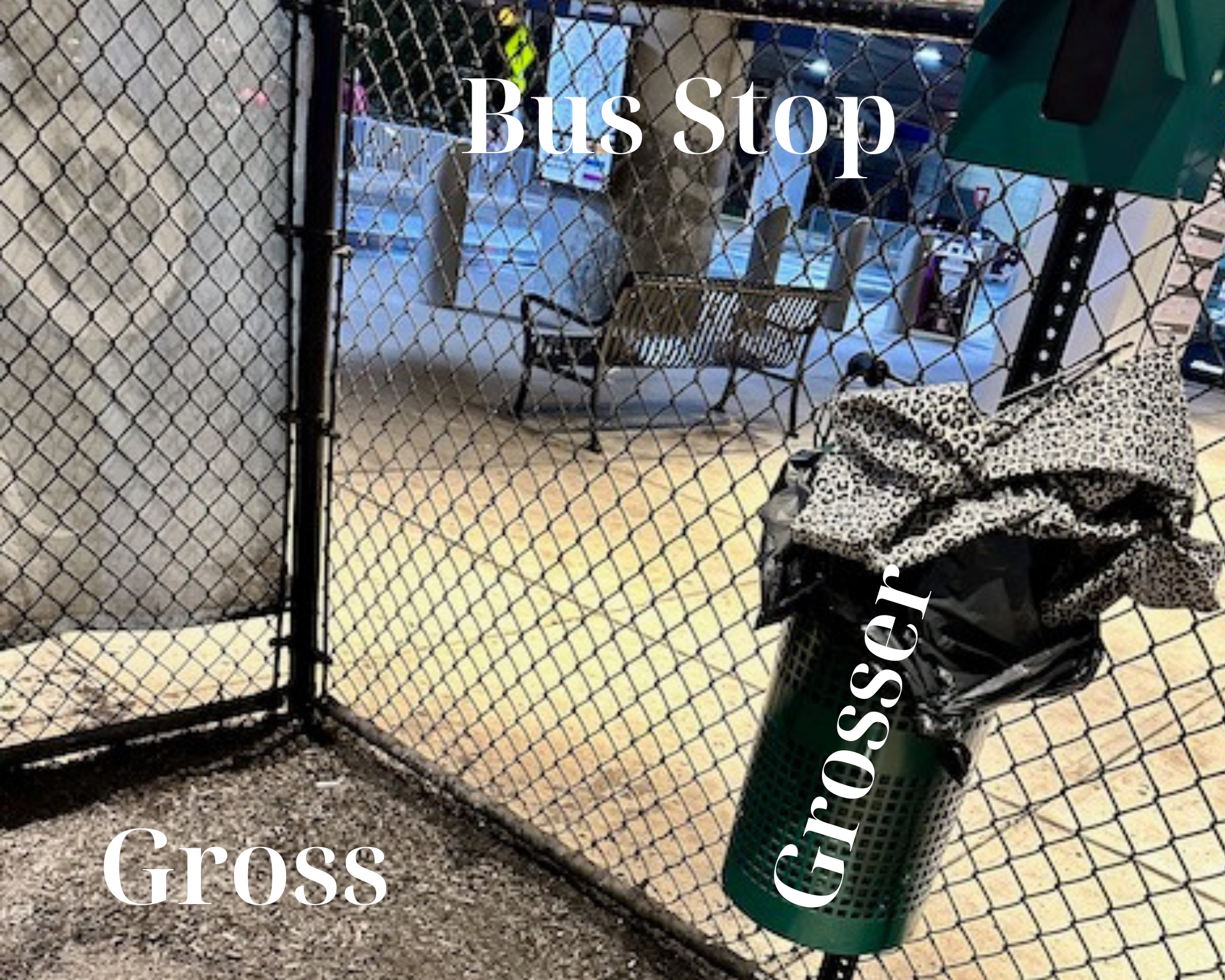 Boston Logan Pet Relief area with bus stop and gross conditions marked with text