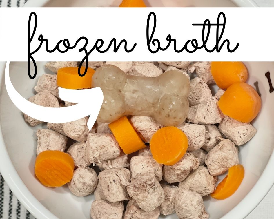 Picture of freeze-dried raw food with cooked carrots and a small frozen bone of mushroom broth