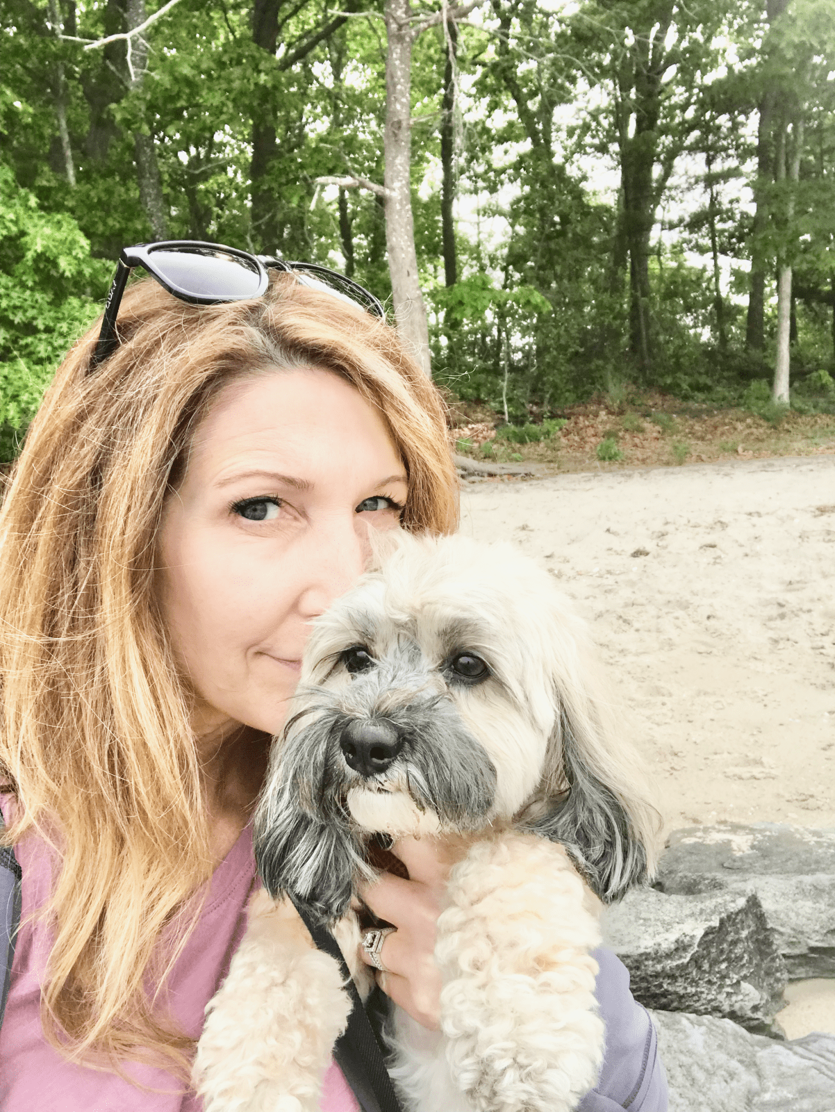 subscribe-the-small-dog-rules