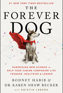 Cover of The Forever Dog by Dr. Karen Becker. Featured large tri-colored dog wearing red cape.
