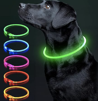 Black lab wearing neon green LED collar with other color options to left