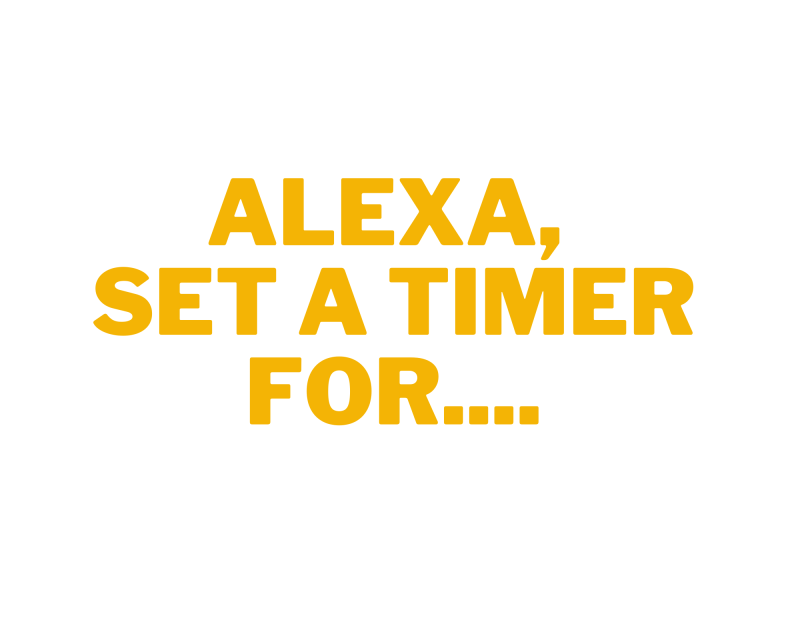 Homemade Dog Food for Small Dogs