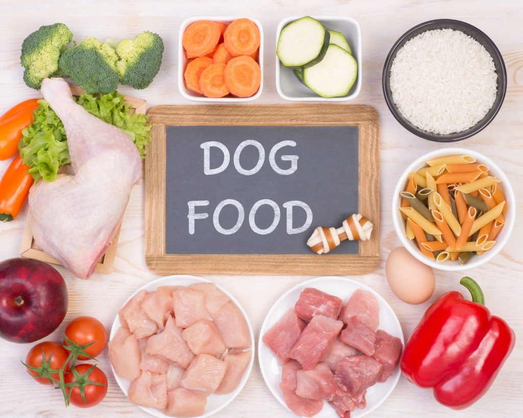 Healthy fresh foods on platters around a small chalkboard with Dog Food written on it in chalk