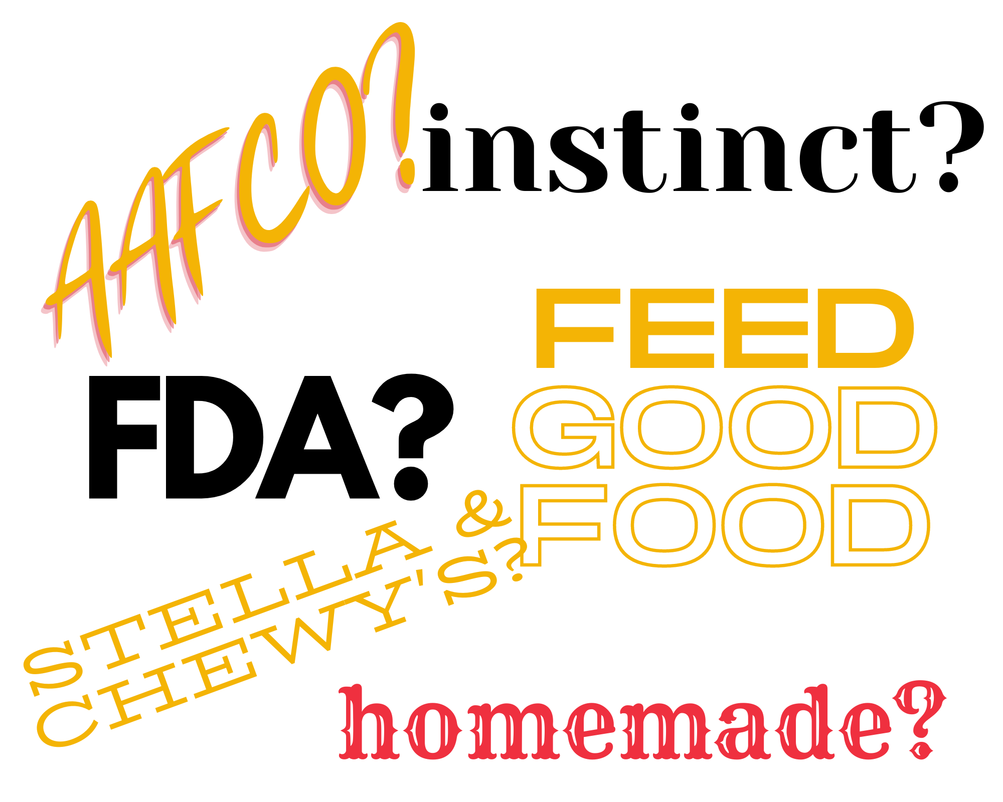 Word Collage including AAFCO, FDA, Homemade, Instinct, Feel Good Food, and Stella & Chewy's