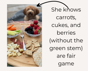 Focused foreground with board featuring cheese, crackers, a bowl with cut carrots, cucumbers, and celery, and a bowl with blackberries and strawberries.