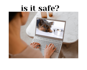 Woman on computer with screen showing yorkshire terrier looking at food bowl