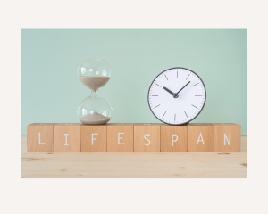 Clock and Hourglass on wood blocks spelling 