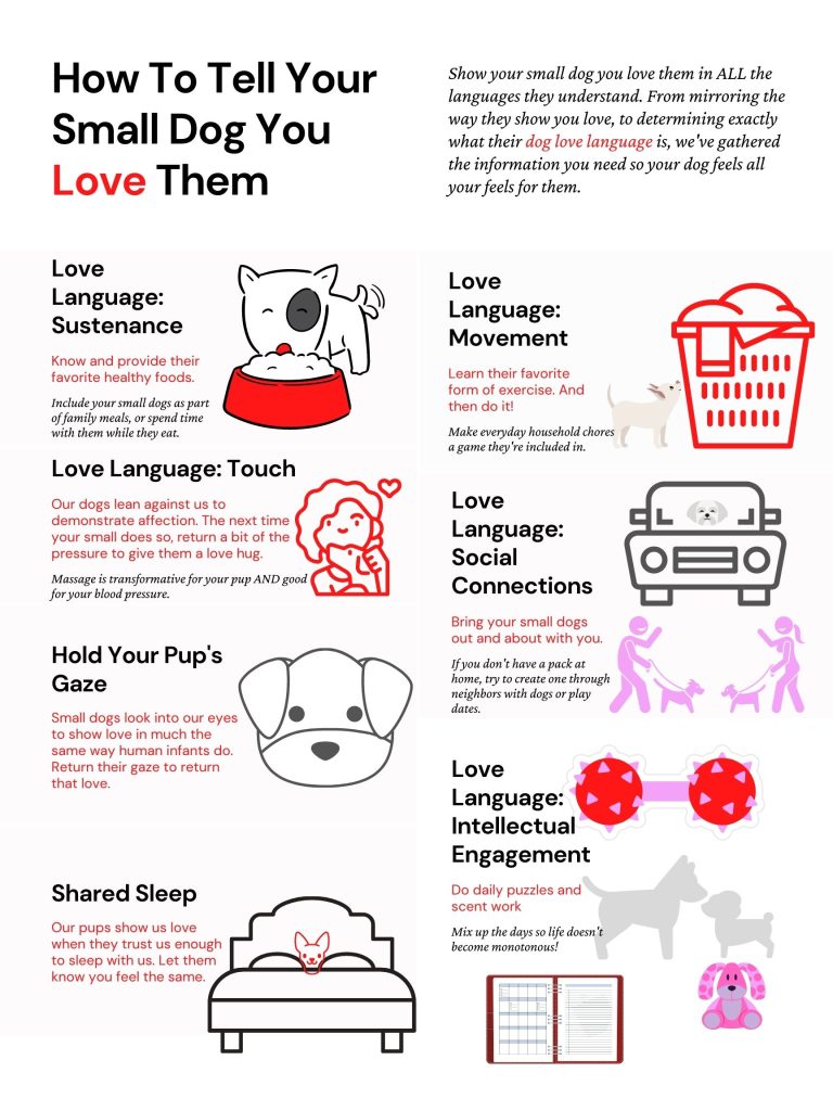 how do you show a dog you love them in dog language