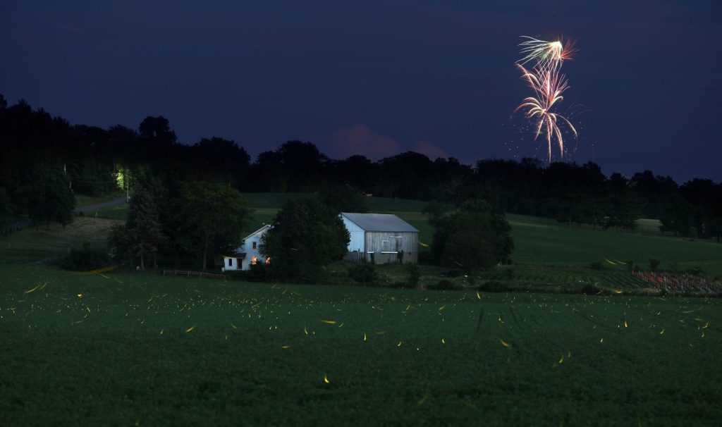 Fireworks over rural scene