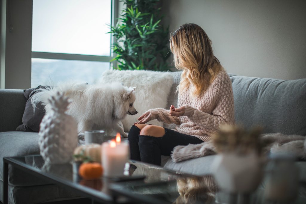 woman in stylish living room offering treat to dog