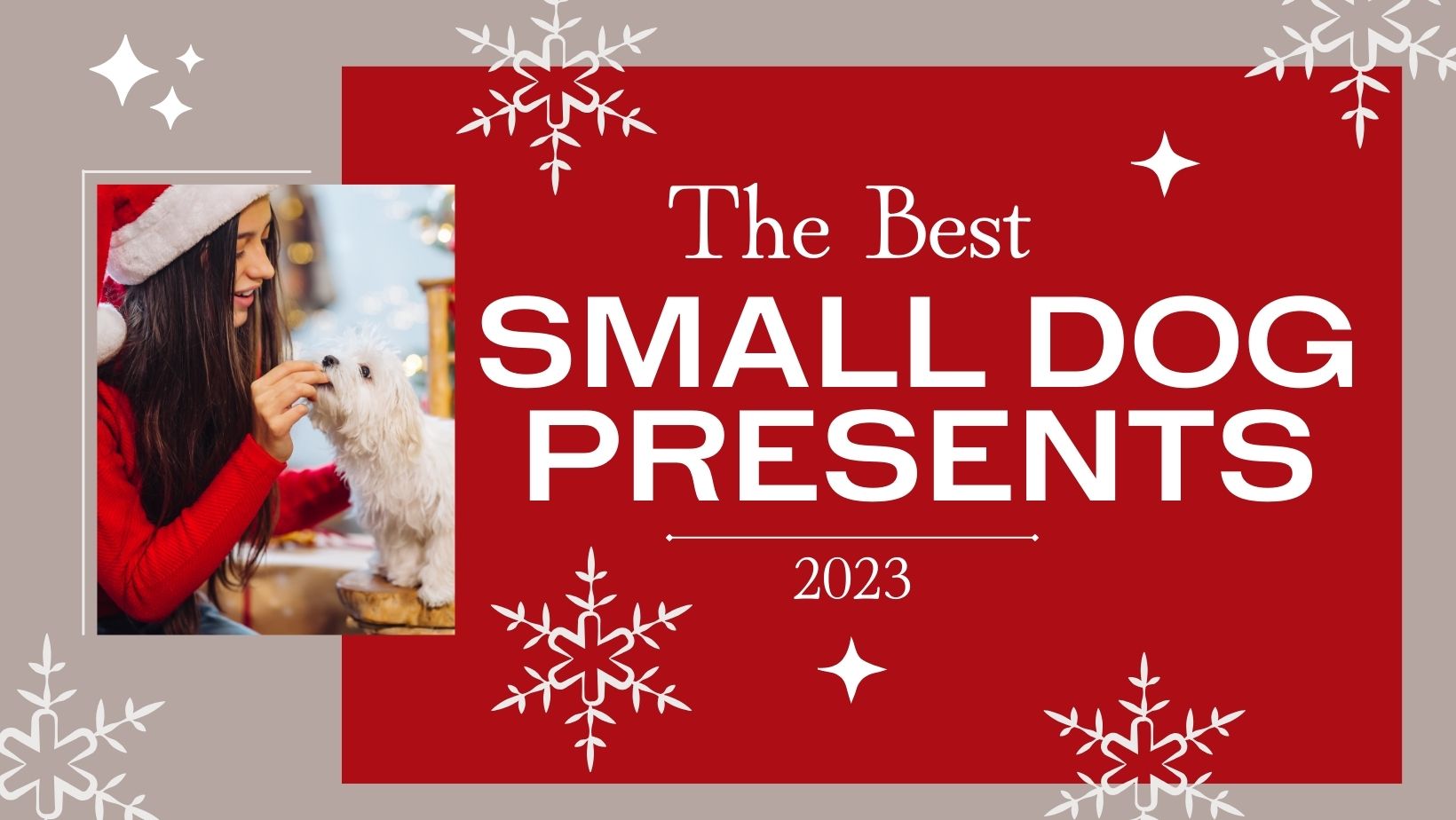 Decorative photo with smiling woman in christmas hat feeding treat to small dog. Text reads "The Best Small Dog Presents 2023"